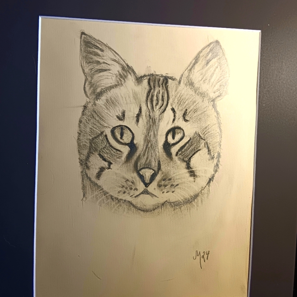 Cat art 11 x 14 matted
